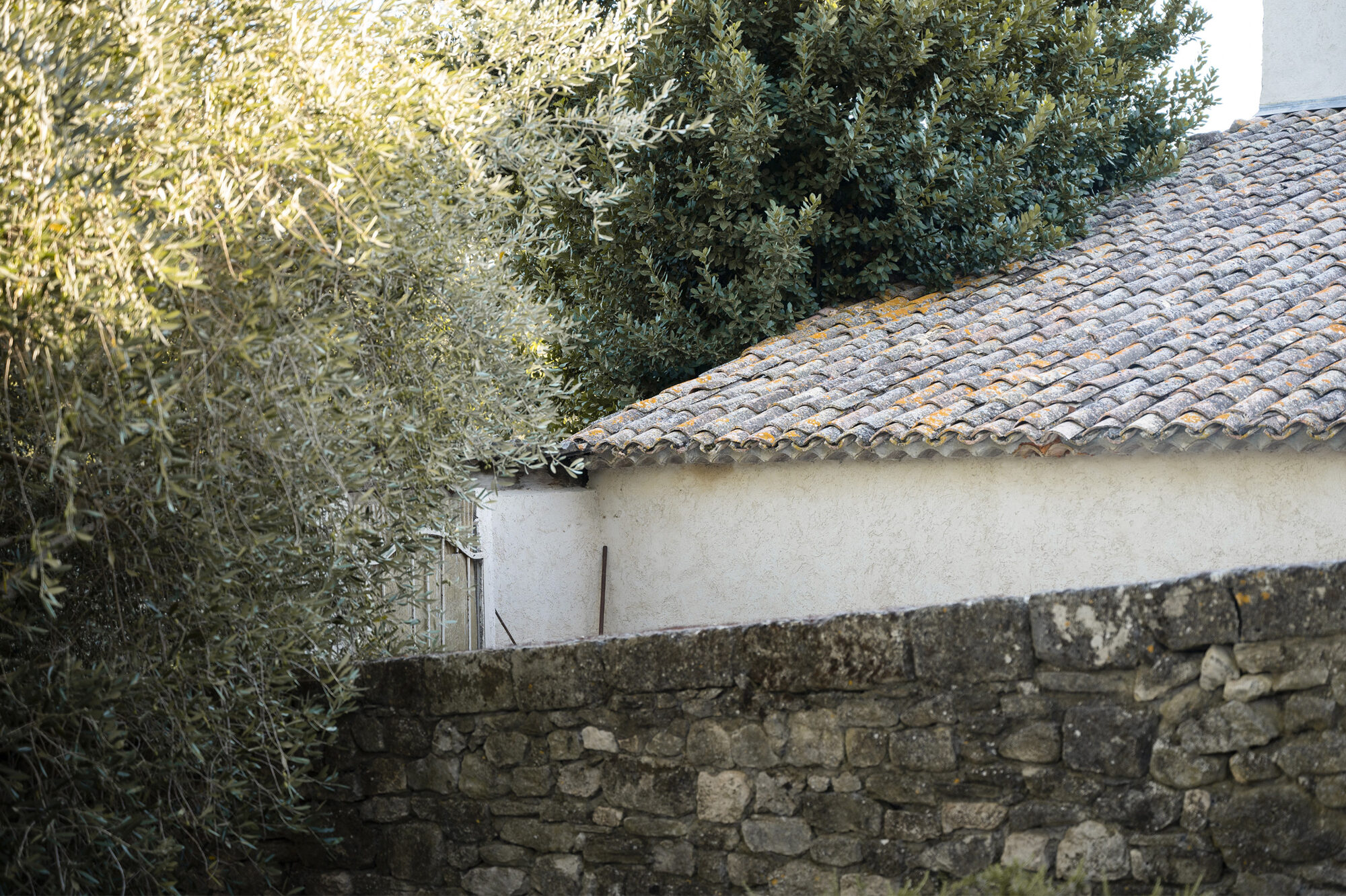 Le Domaine Paradis en Provence